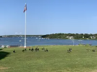 Newly built house, Central A/C, Walk to ferry, beach, and town Hotel a Tisbury