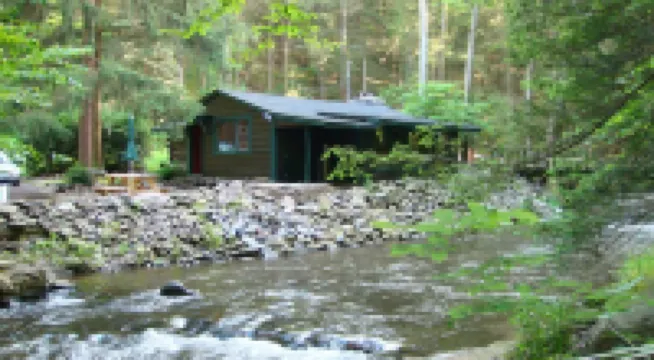 Get Cozy at Big Al's Poconos Creek House - Wireless Dsl, Trout and Skiing!!