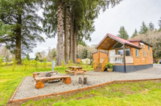 Rainforest Tiny Home Retreat Industrial #26