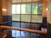 Hotel Furearu Izumi فنادق في أونو