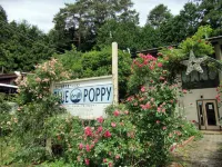 Blue Poppy Lodge Hotels near Lake Saiko