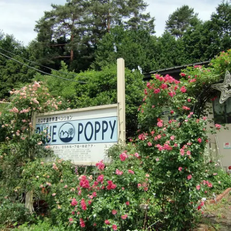 Blue Poppy Lodge