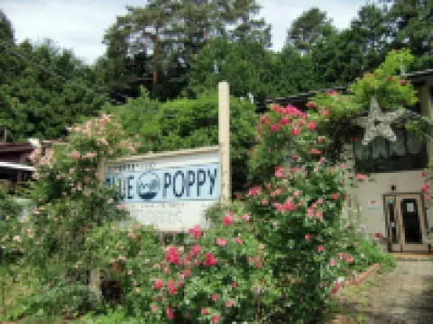 Blue Poppy Lodge Hotel in zona Saiko Lake