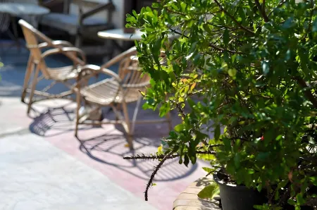 Dahab Hostel