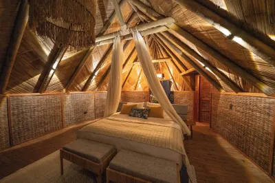 Isla Corona Hotels in 