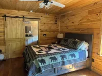 Deer Lick Cabin Lake Front Cabin That Sleeps 6.  Minutes from Bristol Hotels in Piney Flats