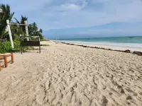 Two palms