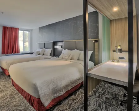SpringHill Suites Durango Hotels in Durango