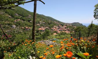 Affittacamere "Gilda Inn Agerola"