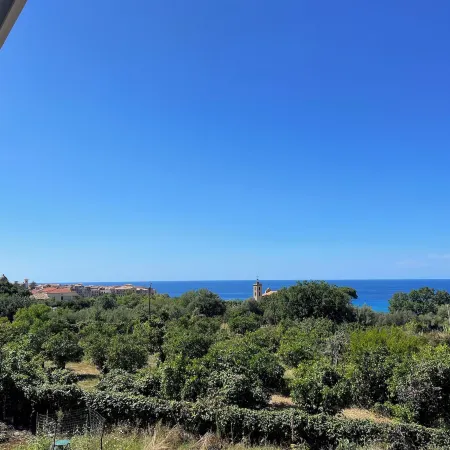 Aurantia - Mediterranean Tale