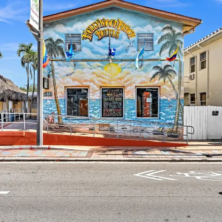 Hollywood Beach Seagull