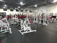 Lamies Inn & the Old Salt Tavern Hotels in Exeter