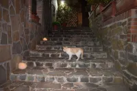 La Vecchia Taverna B&B Hotels in Laureana Cilento