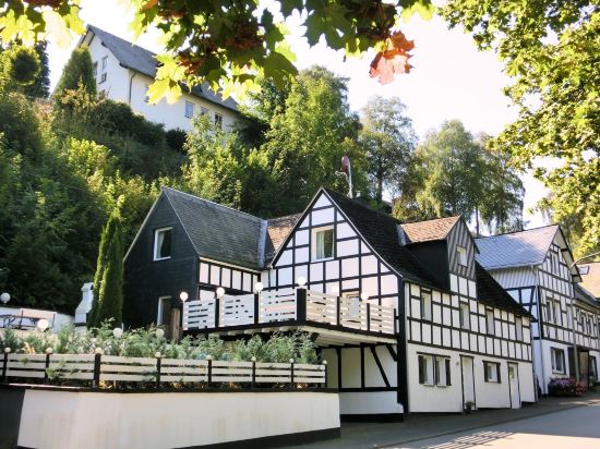 Chalet in Schmallenberg nahe Winterberg Ski