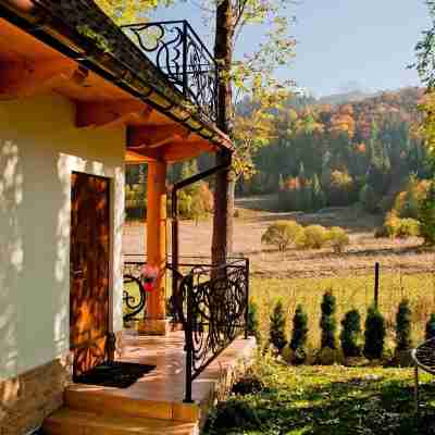 Willa Bachledówka Hotel Exterior