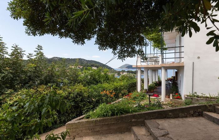 Apartments Miskovic