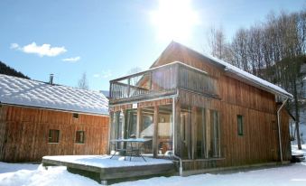 Chalet Stadl an der Mur Near Ski Slopes