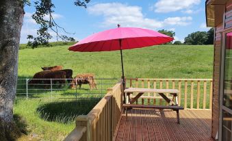 Gaerhyfryd Static Caravan & Family Friendly Site