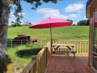 Gaerhyfryd Static Caravan & Family Friendly Site Hotels in Ceiriog Ucha