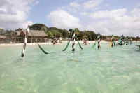 포우사다 파라이소 내추럴 Jijoca de Jericoacoara 호텔