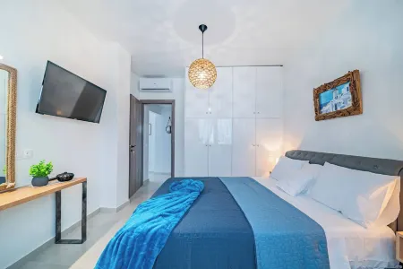 Napoleon Navy Suite 1Bd 1ba