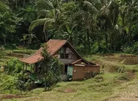 Duegoal Farmhouse Hotel dekat Stockist NASA DK.1503 PENEBEL TABANAN