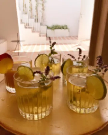 埃索斯素食套房酒店