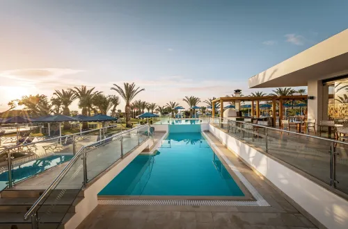 ميتسيس فاليراكي