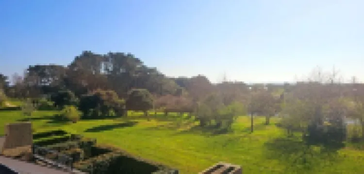 Apartment with beautiful view over a wooded park and a large terrace