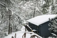 Stylish Lakefront Retreat with Sauna and Dock - Tranquil Escape Hotels near Top Golf Swing Suite at The Alder