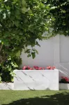 Hotel Infanta Leonor Hotels in Ecija
