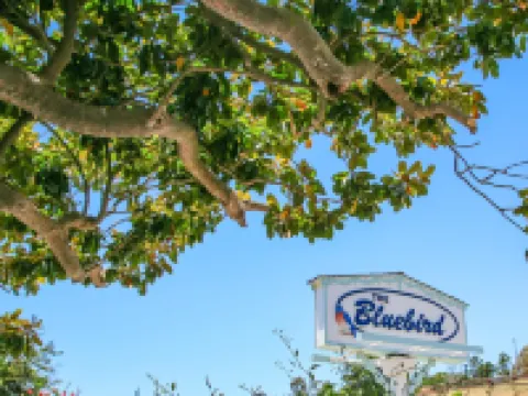 Bluebird Inn Hotels in Cambria