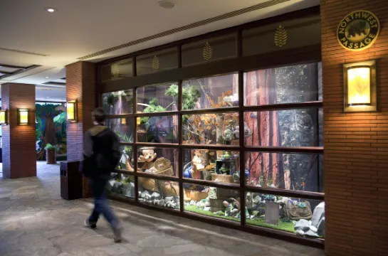 Disney Sequoia Lodge Loisirs et activités Photos