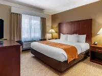 Comfort Suites Linn County Fairground and Expo Hotels in Albany