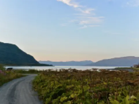Driftwood荒野小屋 科迪亞克島酒店