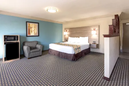 Ramada by Wyndham Houston Intercontinental Airport South
