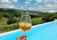 Pension Vuglec Breg - Pools
