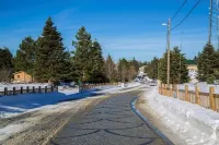 Uludag Orman Koskleri Hotels in Ahmet Vefik Pasa Mahallesi