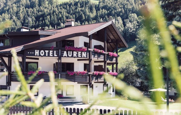 Hotel Auren
