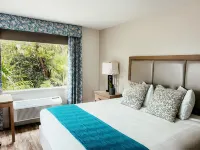 Bayside Inn Key Largo Hotels in Key Largo