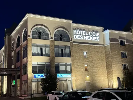 Hotel l'Oie des Neiges Отели рядом с достопримечательностью «Парк Солей»