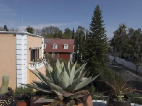 Casa Hidalgo en el Corazón de Coyoacán. Hoteles en Coyoacán