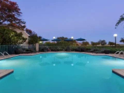 達拉斯艾迪遜希爾頓欣庭套房酒店 艾迪生酒店