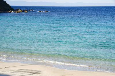 ホテル周辺 種子島あらきホテルの写真