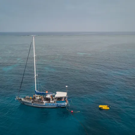 Coral Sea Dreaming Dive and Sail