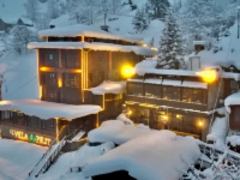 Ayder Villa de Pelit Hotel Hotels in Camlihemsin