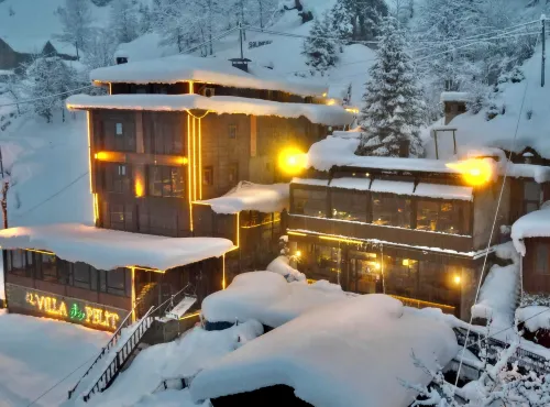 Ayder Villa de Pelit Hotel Hotels in Camlihemsin