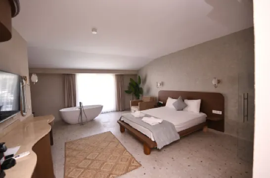 費特希耶蒙特貝羅豪華飯店