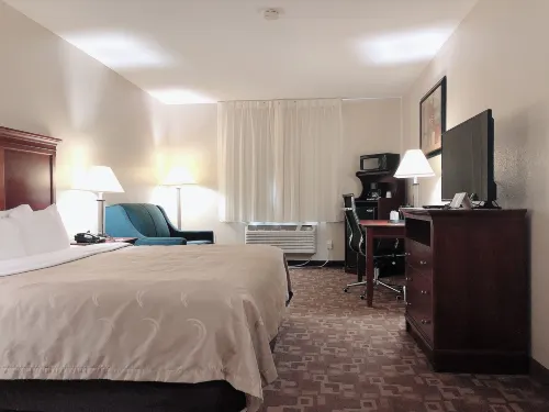 Quality Inn I-70 at Wanamaker - Kolam Renang