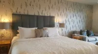 Bluestone on George Hotels in Dunedin